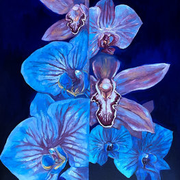 Orchidea w błękicie